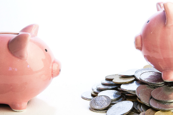 sibling wealth disparity